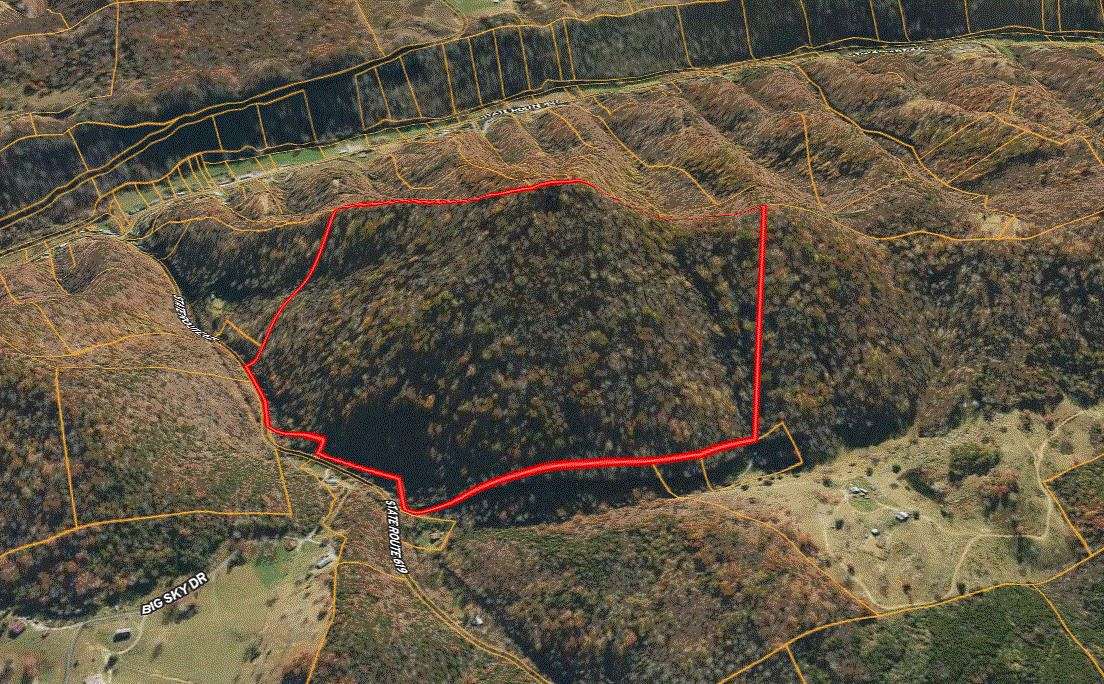 87.38 Acres of Recreational Land for Sale in Gate City, Virginia