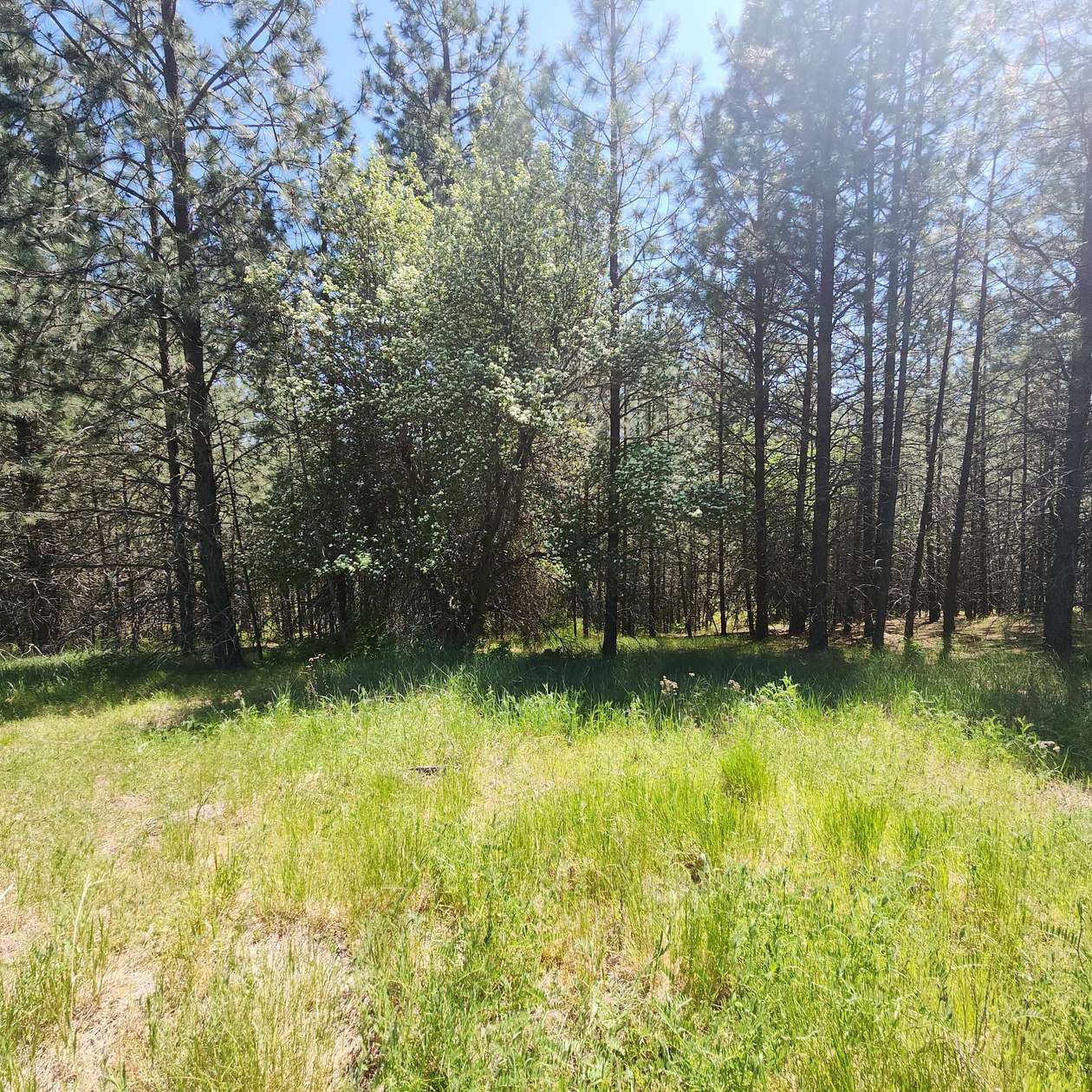2.36 Acres of Land for Sale in Kettle Falls, Washington