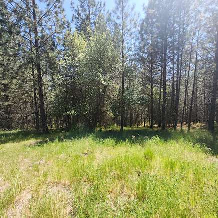 2.36 Acres of Land for Sale in Kettle Falls, Washington