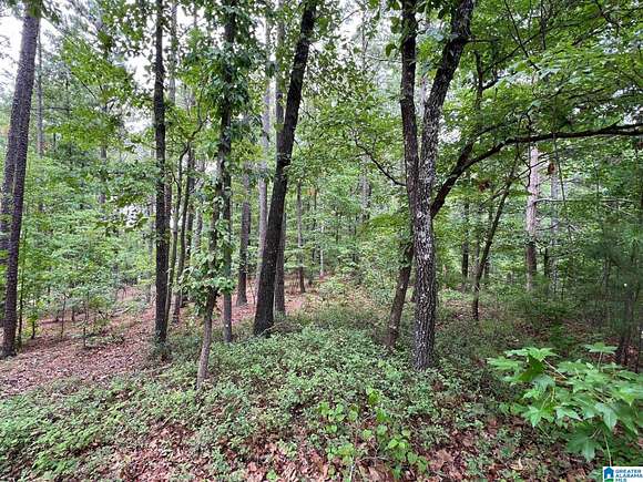 3.49 Acres of Residential Land for Sale in Birmingham, Alabama
