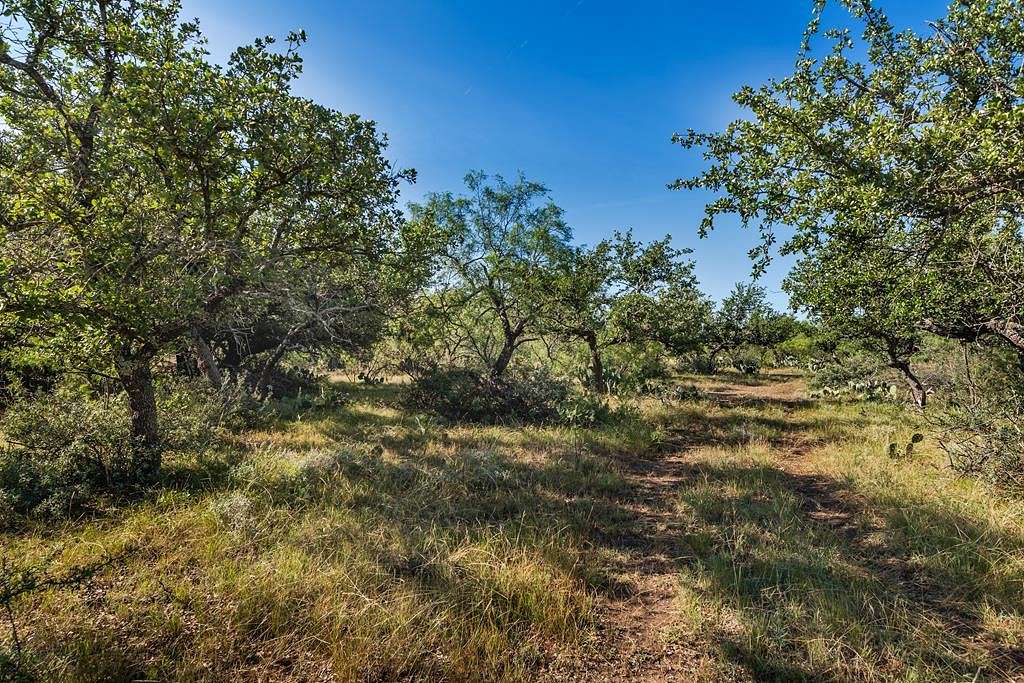 58.56 Acres of Recreational Land & Farm for Sale in Eden, Texas