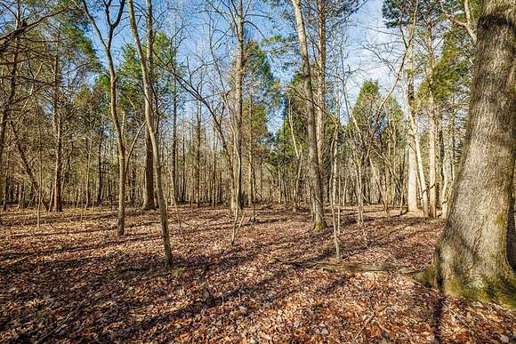 Land for Sale in Fordsville, Kentucky