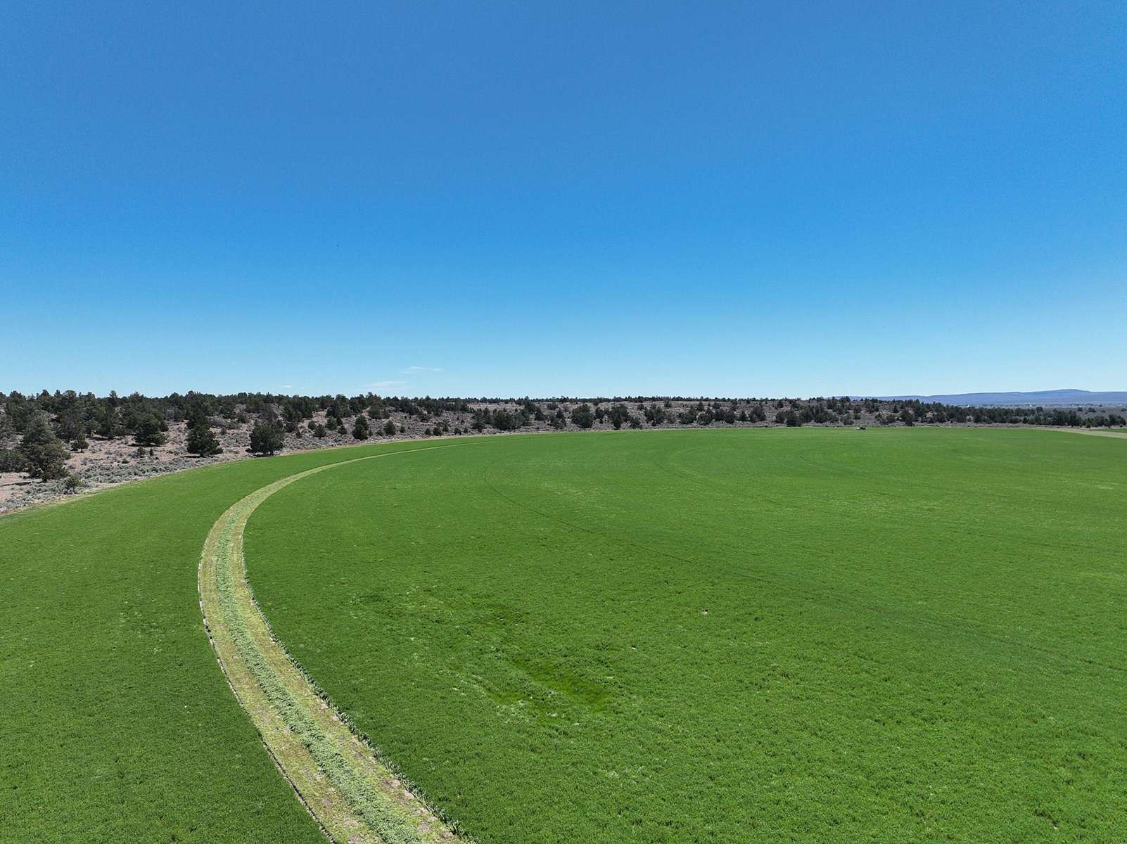 274 Acres of Land with Home for Sale in Christmas Valley, Oregon