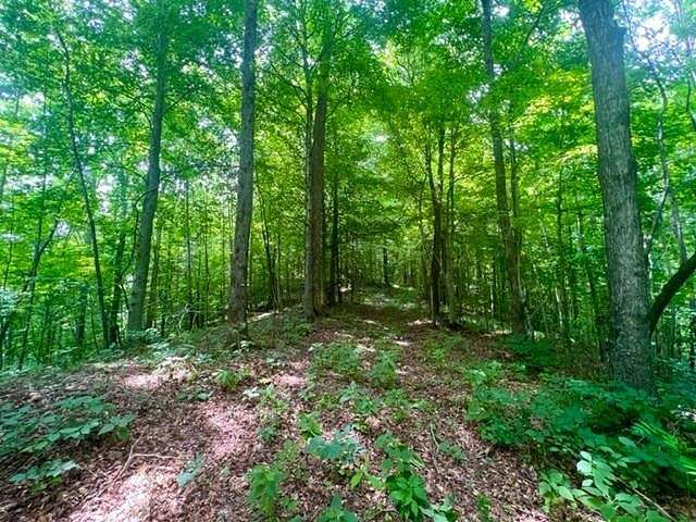 104.22 Acres of Recreational Land for Sale in Whitleyville, Tennessee