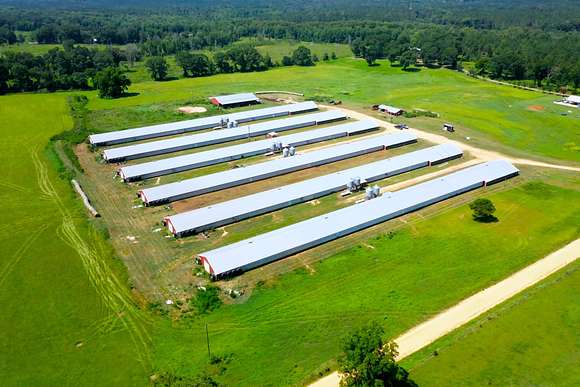 17 Acres of Agricultural Land for Sale in Rutledge, Alabama