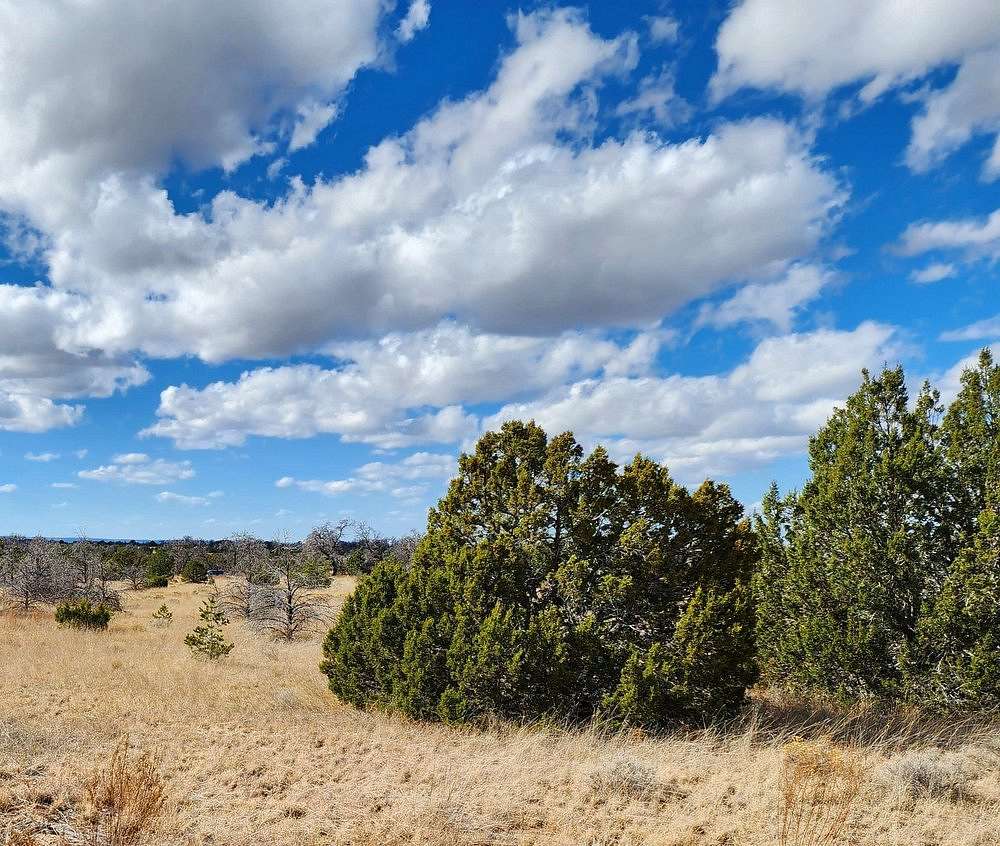 2.4 Acres of Residential Land for Sale in Pinehill, New Mexico