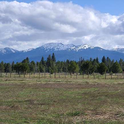 0.806 Acres of Land for Sale in Donnelly, Idaho