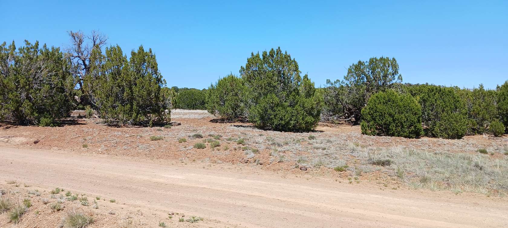 1.14 Acres of Residential Land for Sale in Concho, Arizona