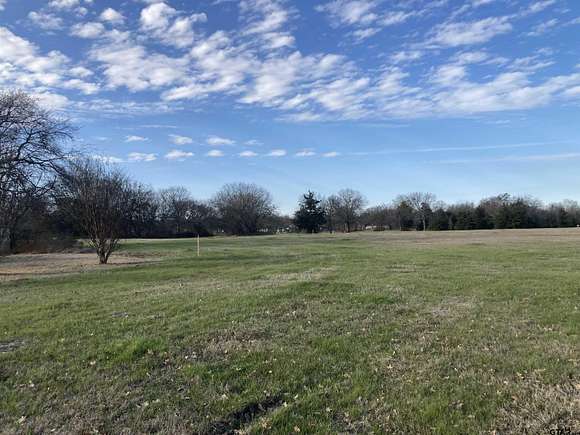5.1 Acres of Mixed-Use Land for Sale in Talco, Texas