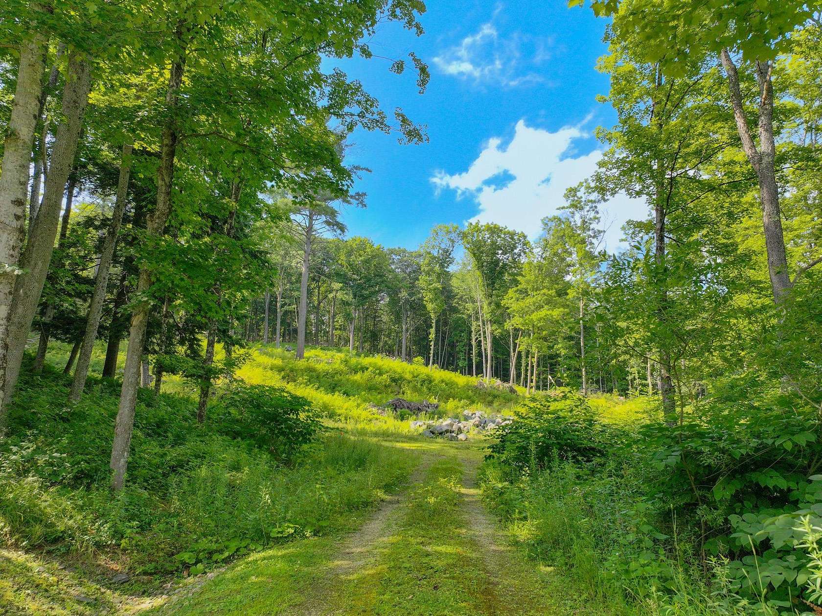 4.17 Acres of Land for Sale in Woodstock, Vermont