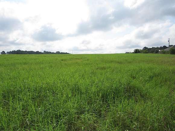 16 Acres of Land for Sale in Elkhart, Texas