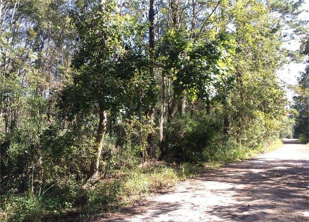 4.806 Acres of Land for Sale in Waverly, Georgia
