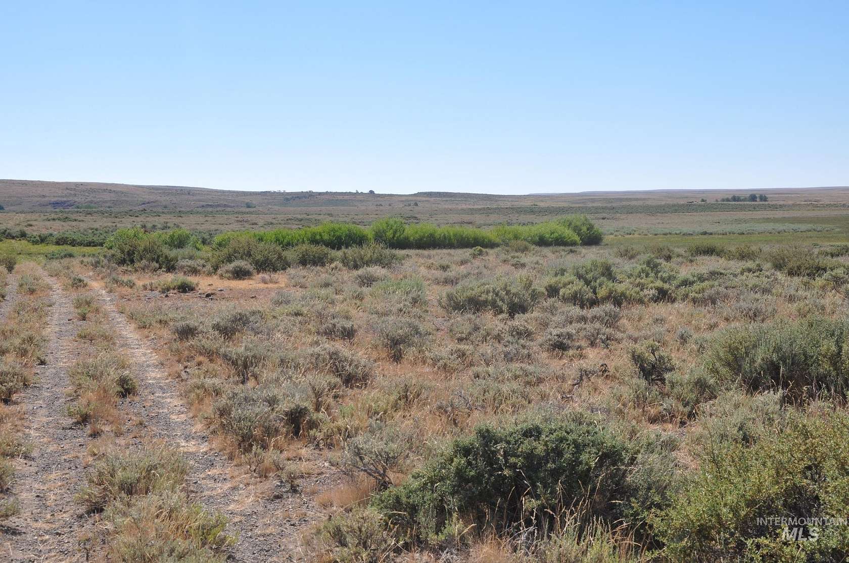 80 Acres of Recreational Land for Sale in Grand View, Idaho