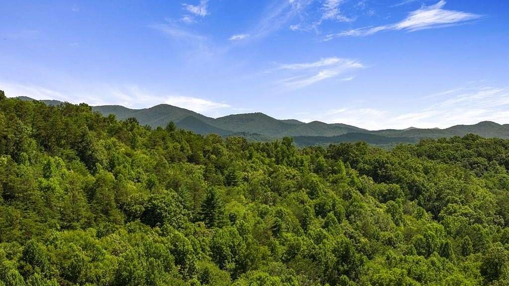 1 Acre of Residential Land for Sale in Brasstown, North Carolina