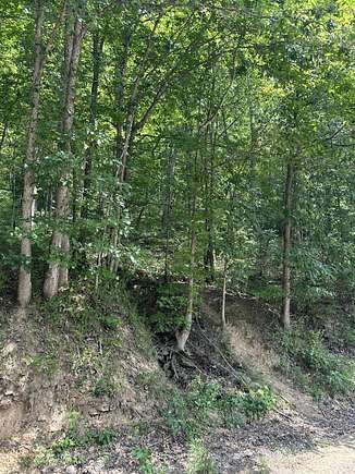 50.86 Acres of Land for Sale in Manchester, Kentucky