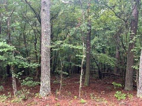 2.99 Acres of Residential Land for Sale in Dallas, Georgia