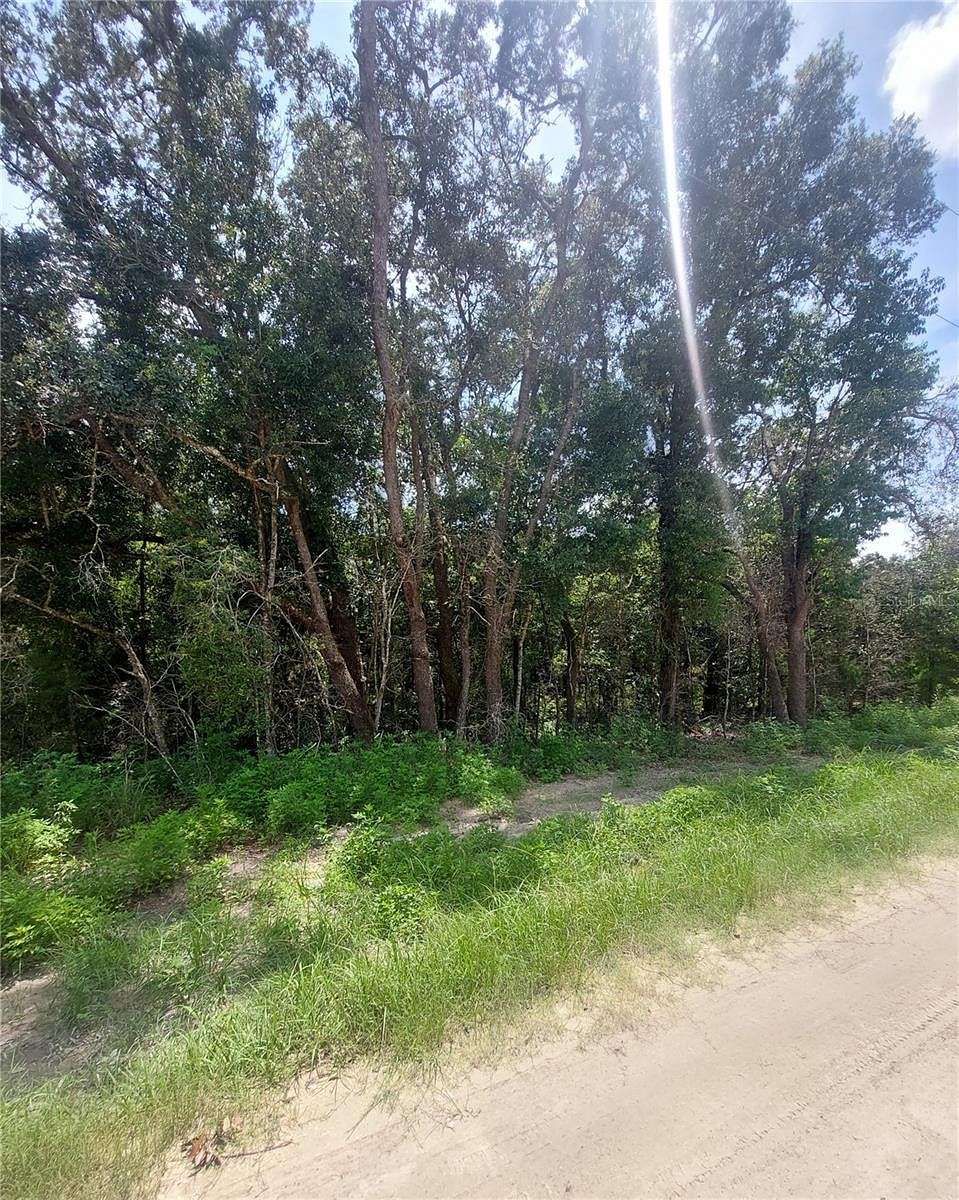 0.22 Acres of Residential Land for Sale in Dunnellon, Florida