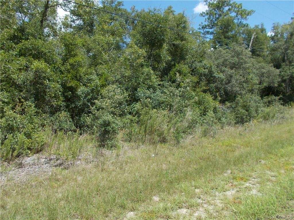 0.25 Acres of Residential Land for Sale in Citrus Springs, Florida