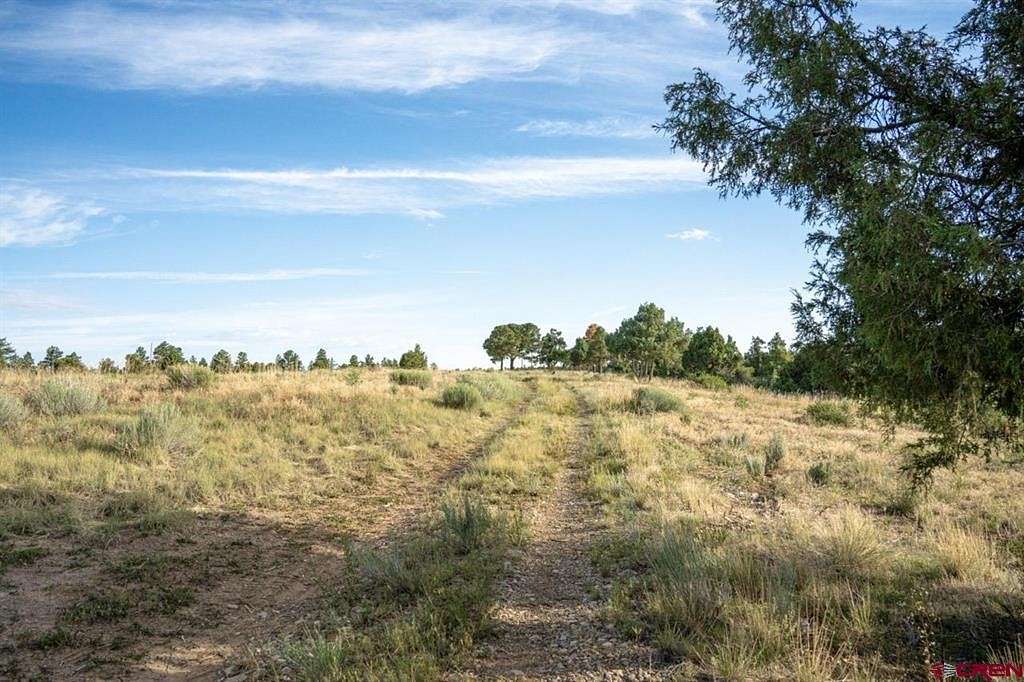 37.71 Acres of Land for Sale in Mancos, Colorado