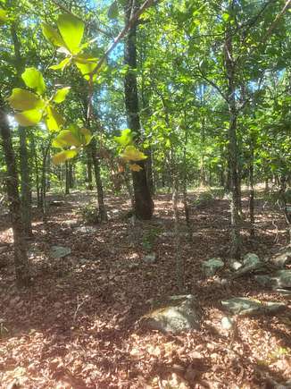 2.37 Acres of Residential Land for Sale in Cabot, Arkansas