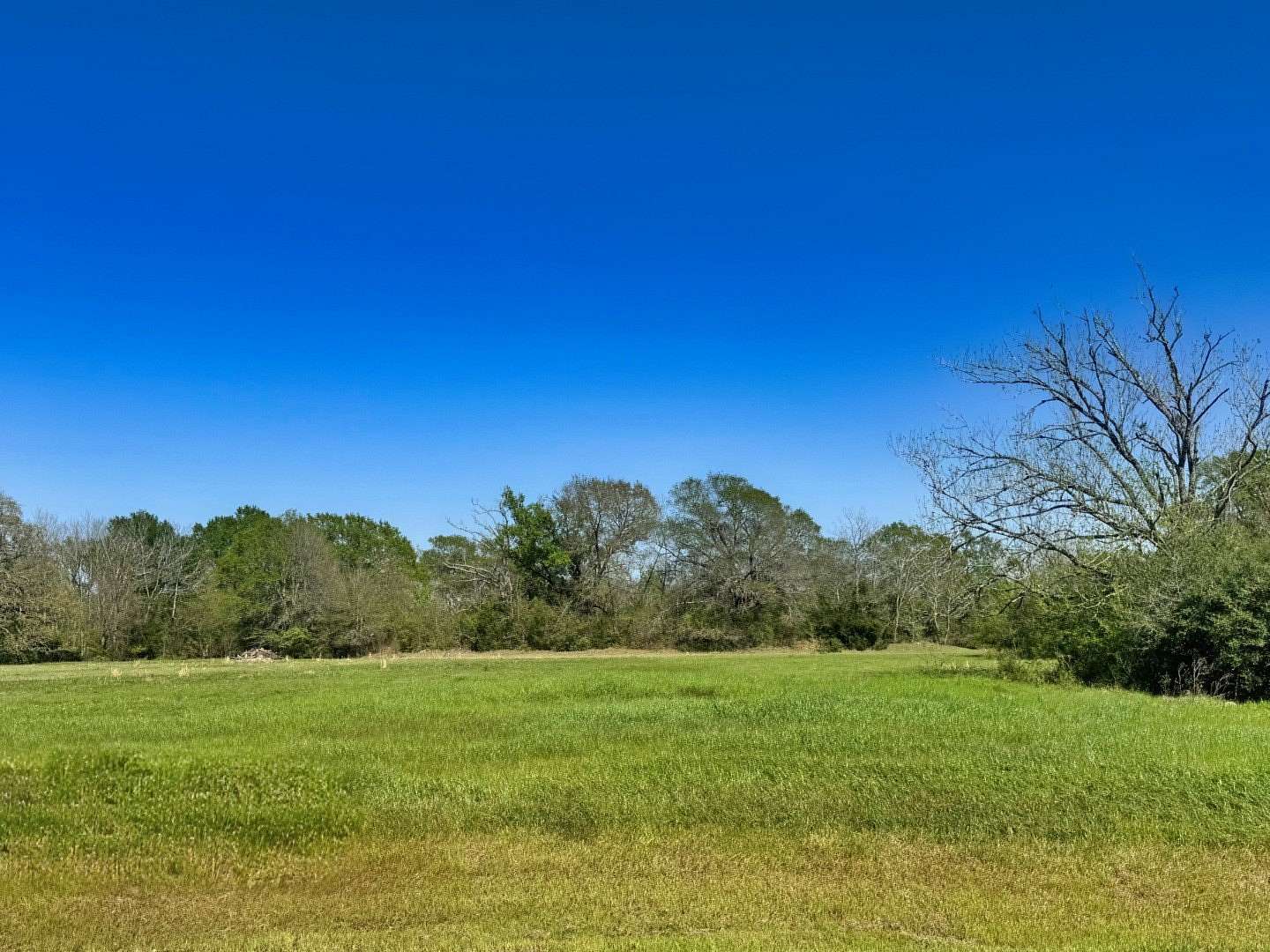 2.44 Acres of Residential Land for Sale in Iola, Texas