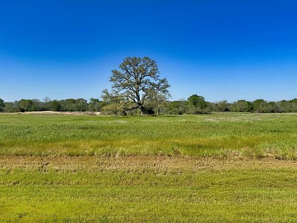 1.4 Acres of Residential Land for Sale in Iola, Texas