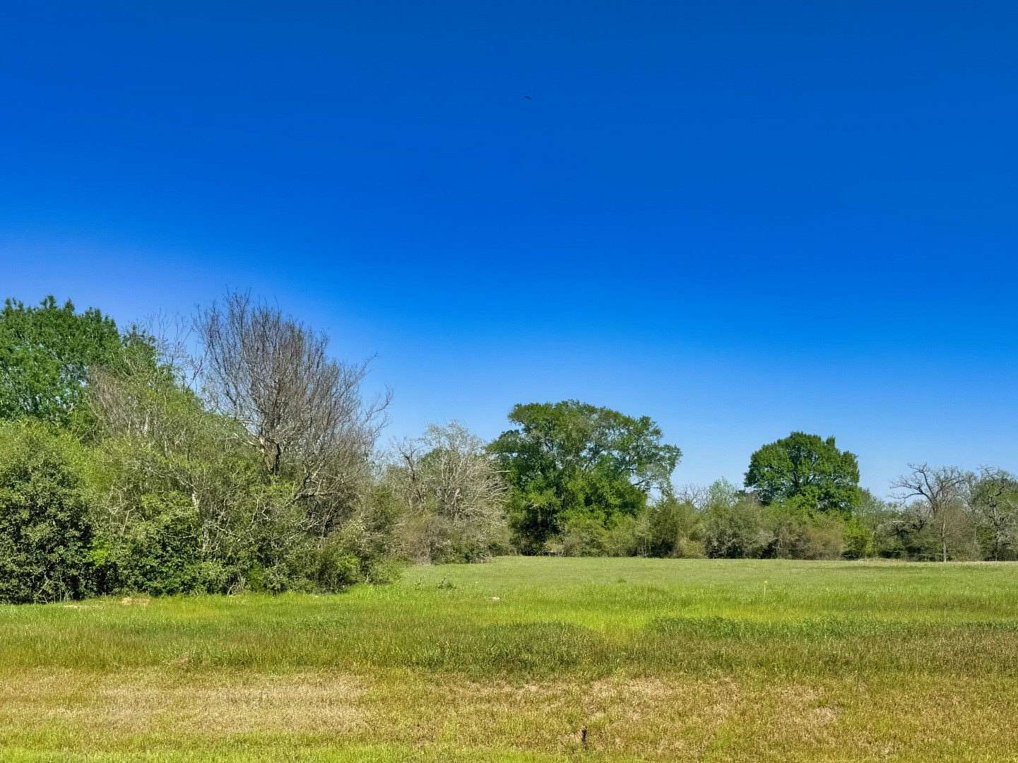 2.13 Acres of Residential Land for Sale in Iola, Texas