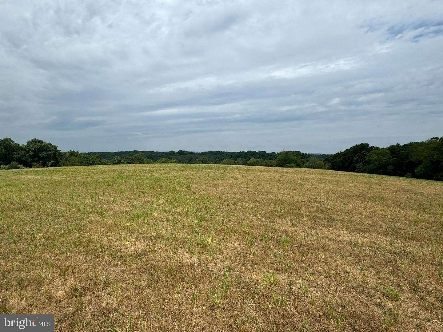 86.45 Acres of Land for Sale in Boyce, Virginia