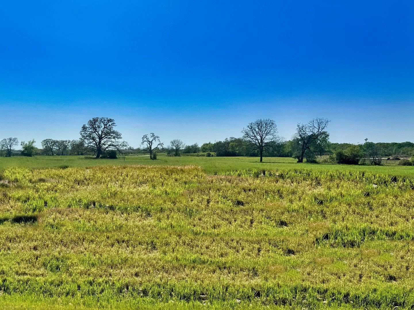 1.5 Acres of Residential Land for Sale in Iola, Texas