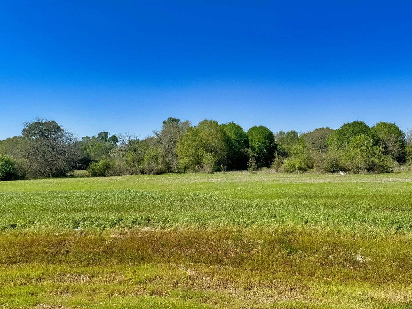 1.72 Acres of Residential Land for Sale in Iola, Texas