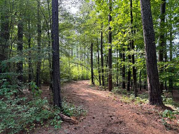 90 Acres of Recreational Land for Sale in Macon, Mississippi