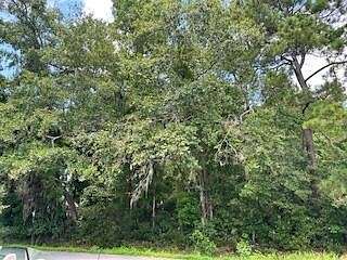 0.79 Acres of Residential Land for Sale in Charleston, South Carolina