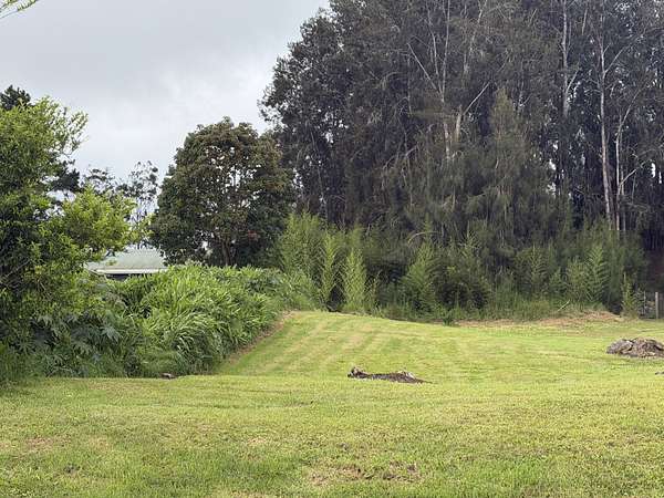 0.45 Acres of Residential Land for Sale in Waimea, Hawaii