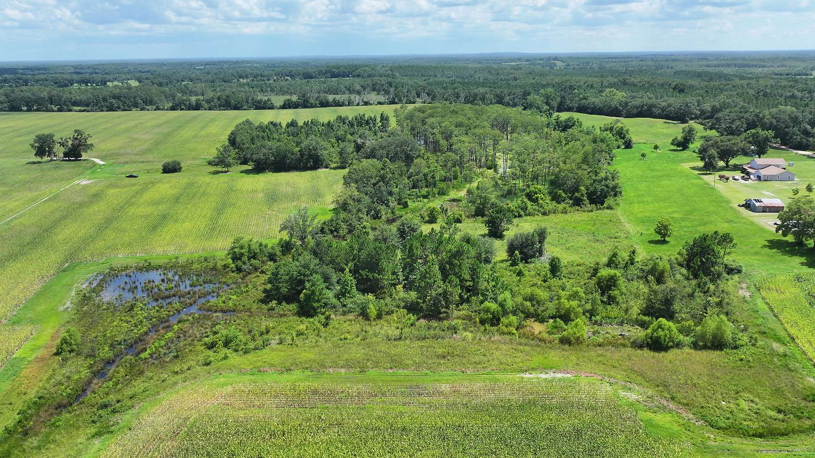186.84 Acres of Recreational Land & Farm for Sale in Graceville, Florida