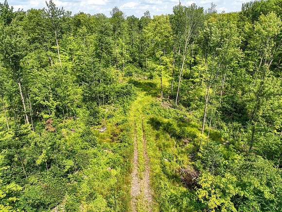 120 Acres of Recreational Land for Sale in Merrill, Wisconsin