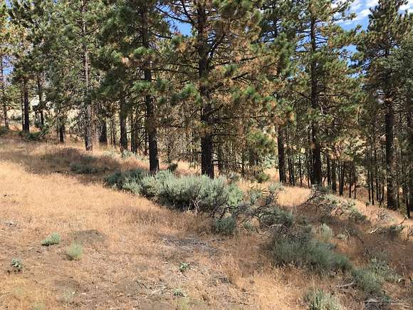 1.52 Acres of Residential Land for Sale in Tehachapi, California