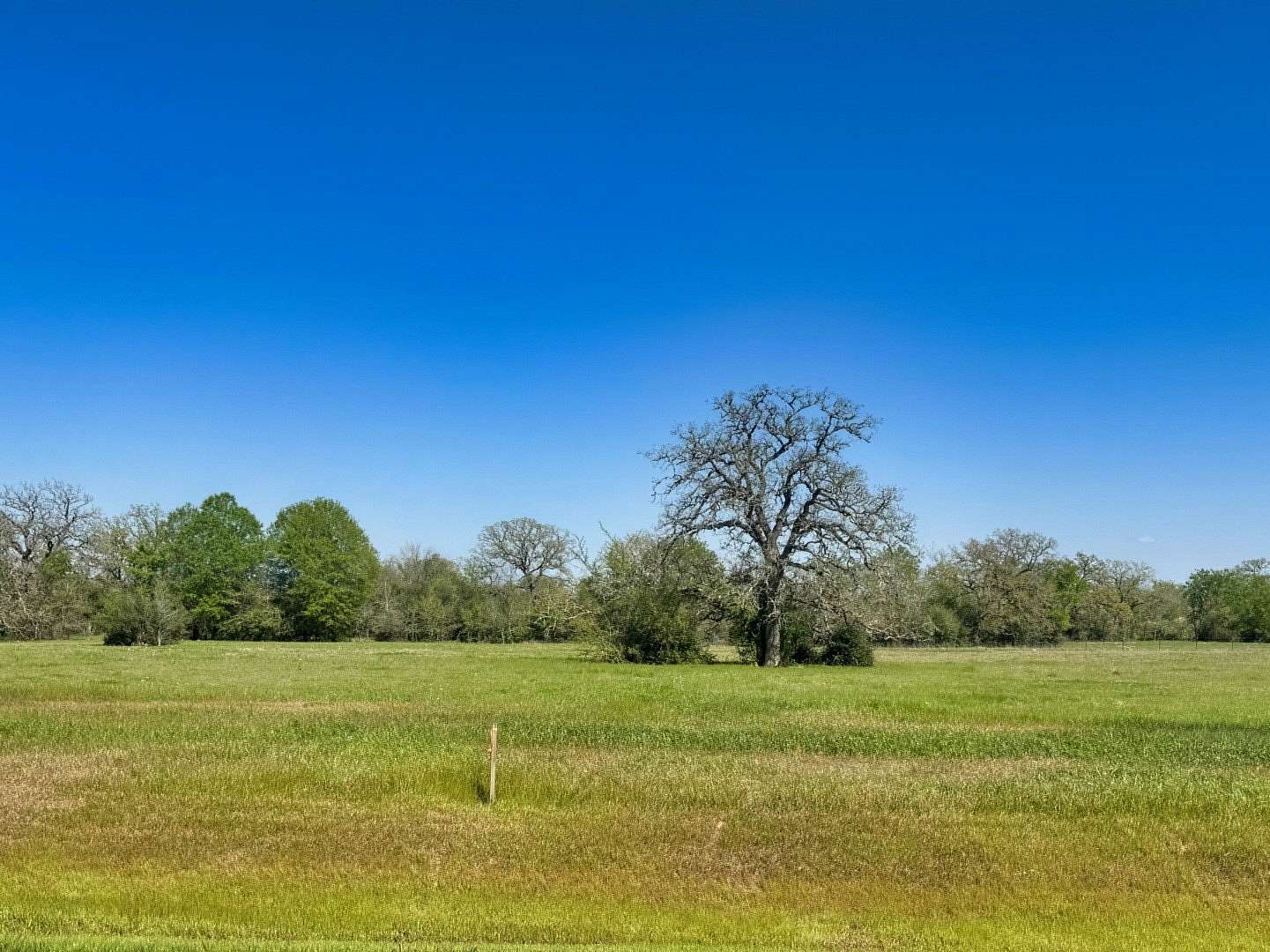 1 Acre of Residential Land for Sale in Iola, Texas