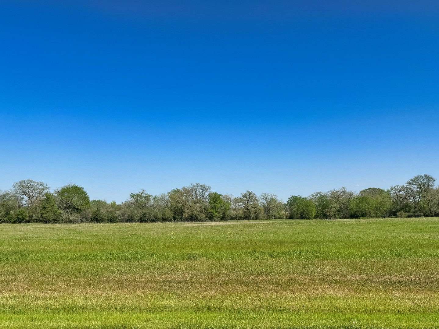 1 Acre of Residential Land for Sale in Iola, Texas