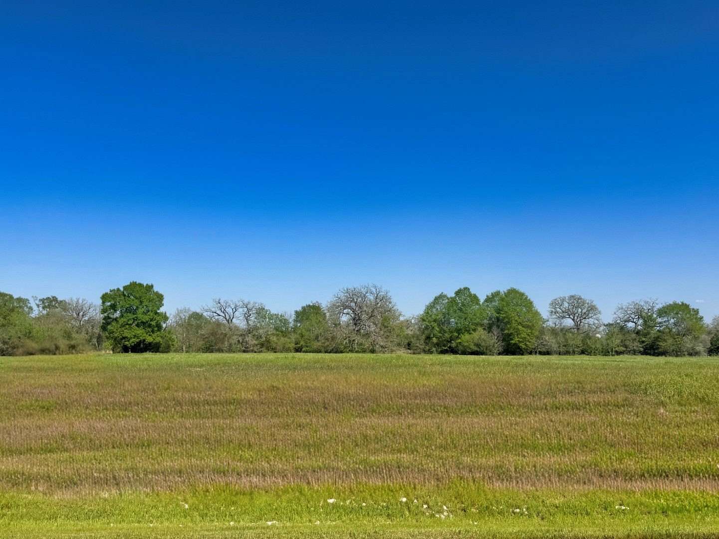 1.1 Acres of Residential Land for Sale in Iola, Texas