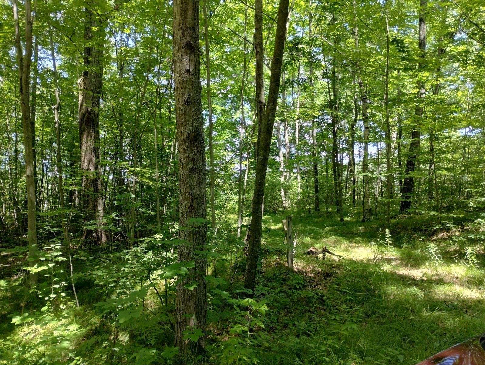 5.99 Acres of Land for Sale in Farwell, Michigan
