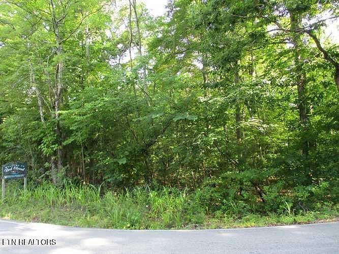 0.35 Acres of Residential Land for Sale in Ten Mile, Tennessee