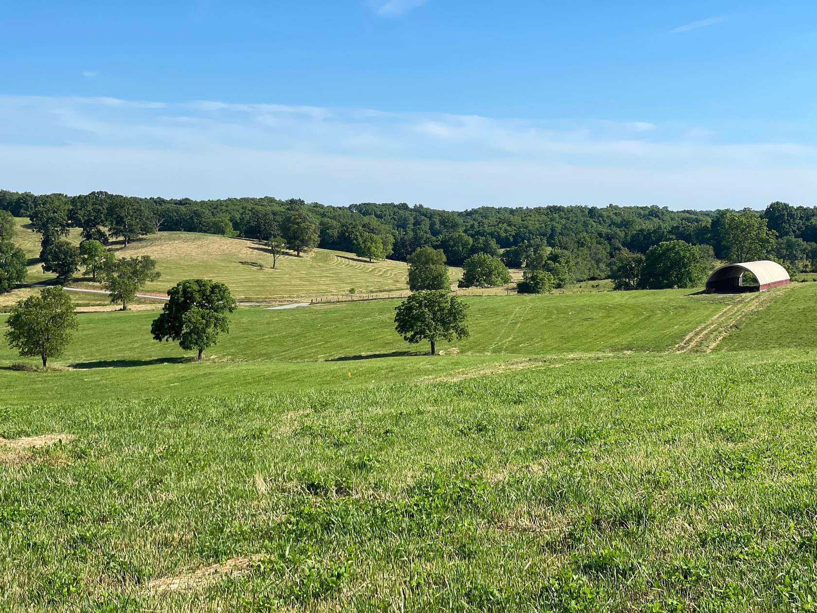 8.889 Acres of Residential Land for Sale in Cynthiana, Kentucky