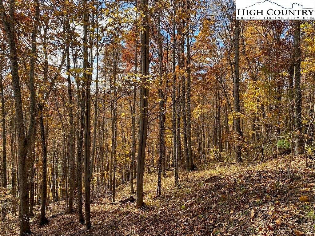 1.36 Acres of Residential Land for Sale in Todd, North Carolina