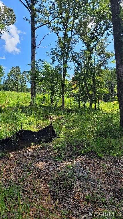 2.46 Acres of Residential Land for Sale in Titus, Alabama