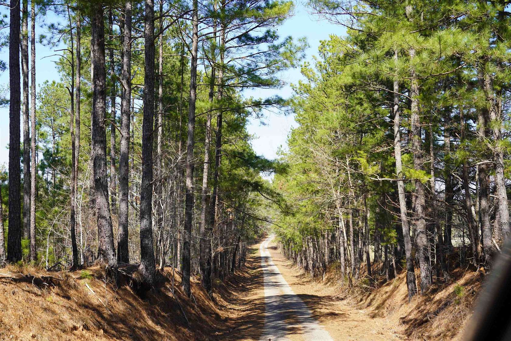 221 Acres of Recreational Land for Sale in Union, South Carolina
