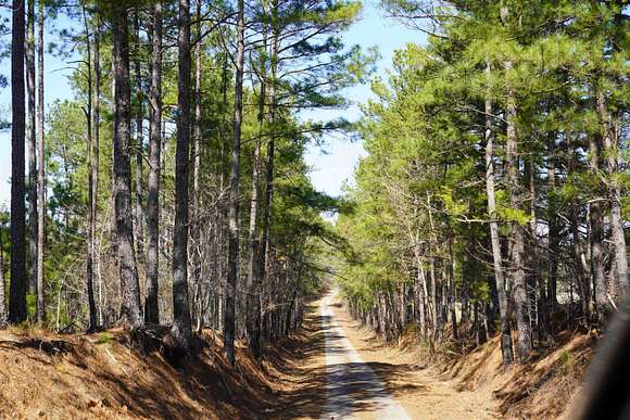 221 Acres of Recreational Land for Sale in Union, South Carolina