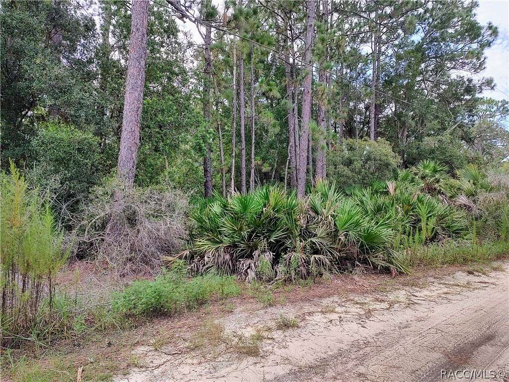 1.03 Acres of Residential Land for Sale in Crystal River, Florida