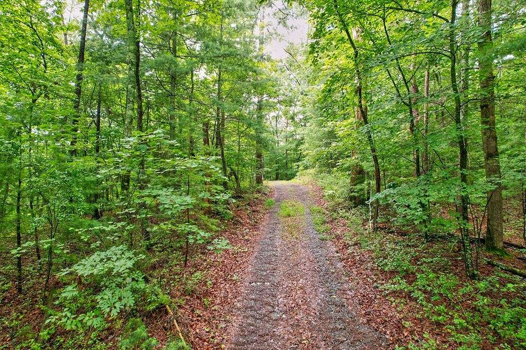 7.1 Acres of Residential Land for Sale in Ellijay, Georgia