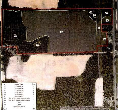 93 Acres of Land for Sale in Climax, Georgia