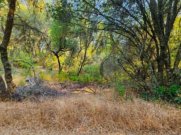 5 Acres of Residential Land for Sale in San Andreas, California